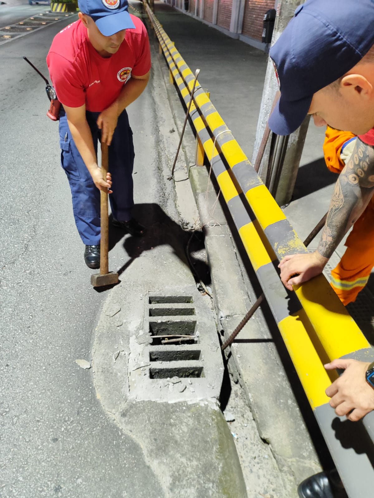 Bombeiros de Gaspar resgatam gato preso em bueiro