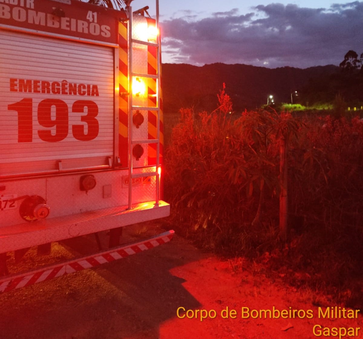 Bombeiros de Gaspar apagam fogo em vegetação próximo de casas e ao gasoduto no Gasparinho