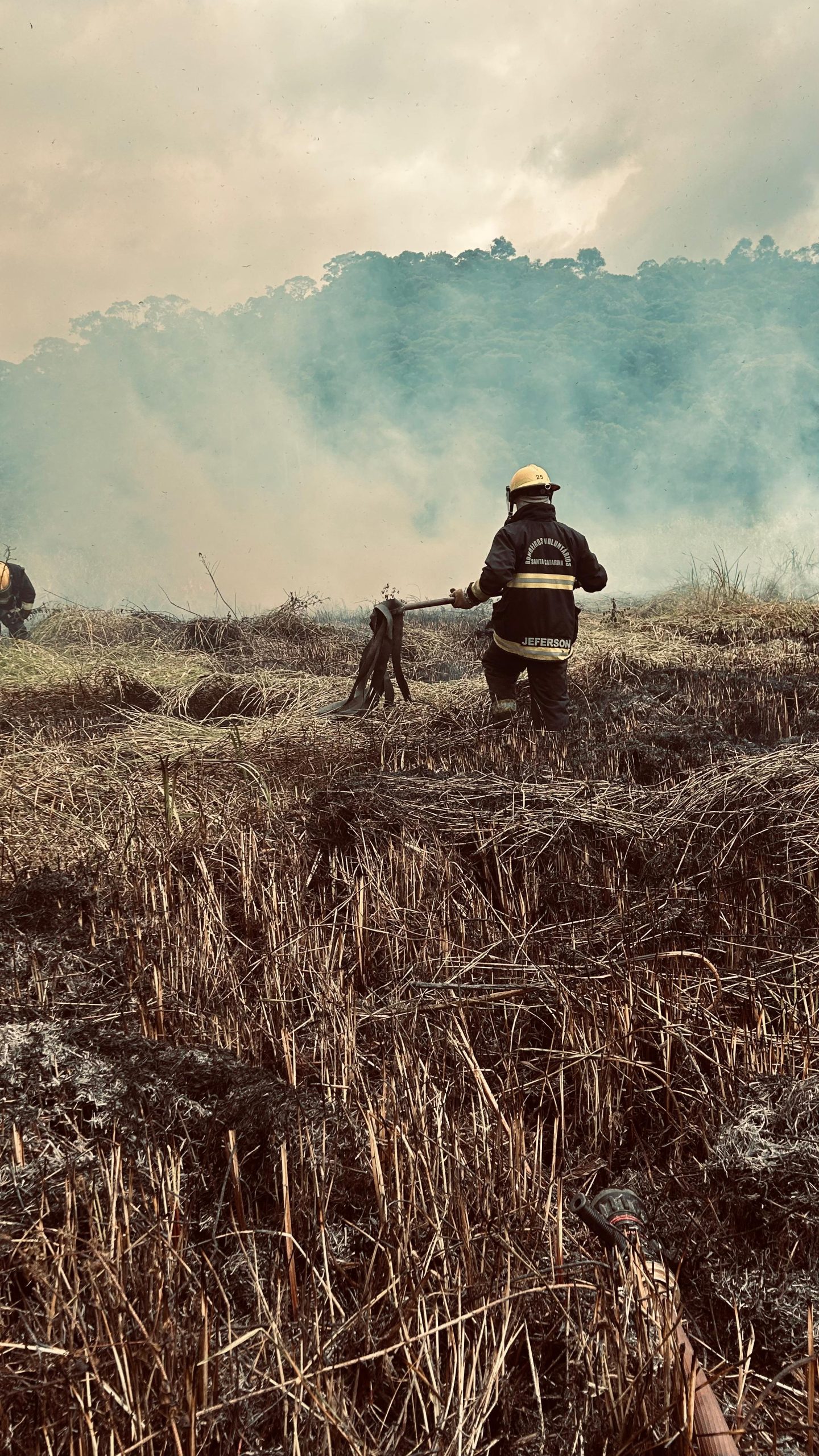 Bombeiros de Ilhota apagam fogo em vegetação no bairro Pocinho em Ilhota