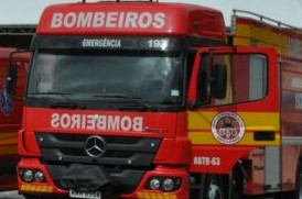 Copa de Palmeira pega fogo após ser atingida por um raio no bairro Bela Vista