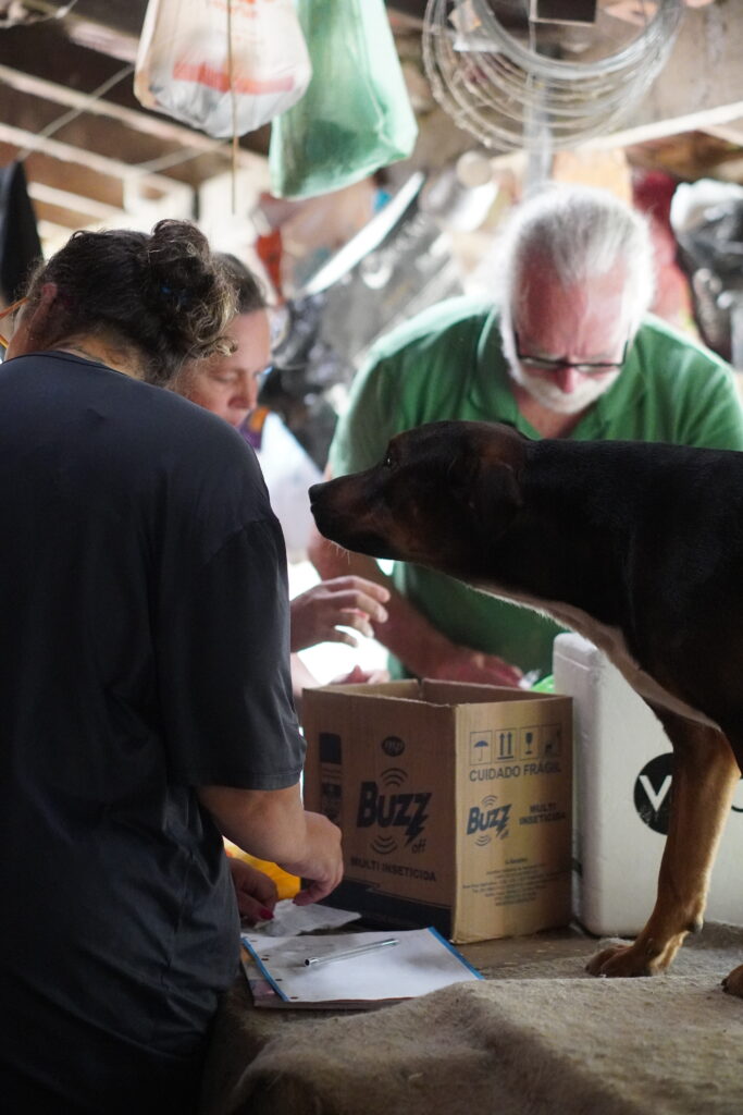 Mais de cem cães são vacinados em ação da Diretoria de Bem-Estar Animal