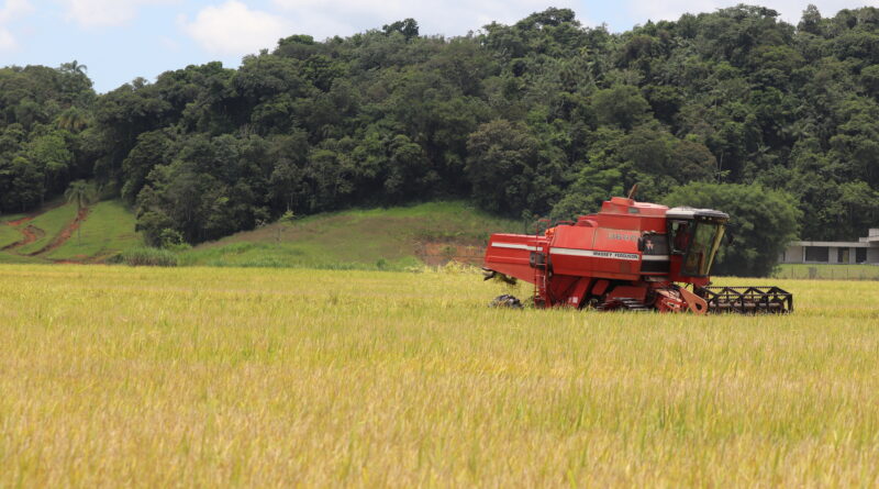 Atendimento da Epagri volta a ser diário em Gaspar