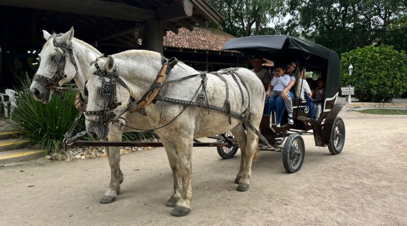 Crianças com TEA do CDI Maria Salete participam de atividade inclusiva