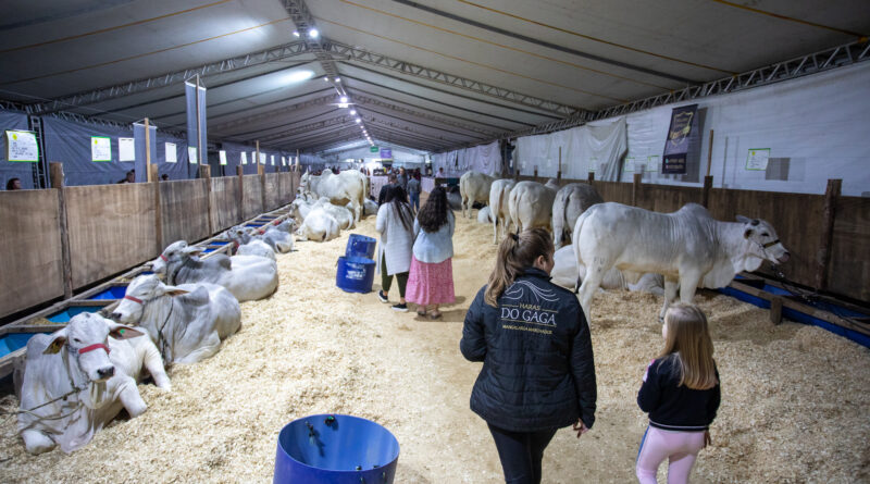 De 19 e 22 de junho acontece na Arena Multiuso a 21ª Expofeira de Gaspar