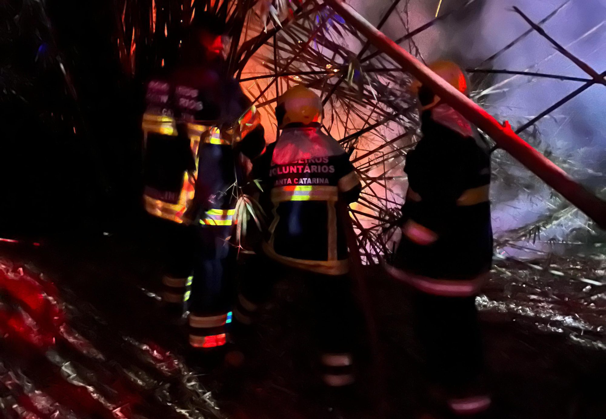 Incêndio em vegetação na Estrada Geral Barranco Alto mobiliza Bombeiros de Ilhota