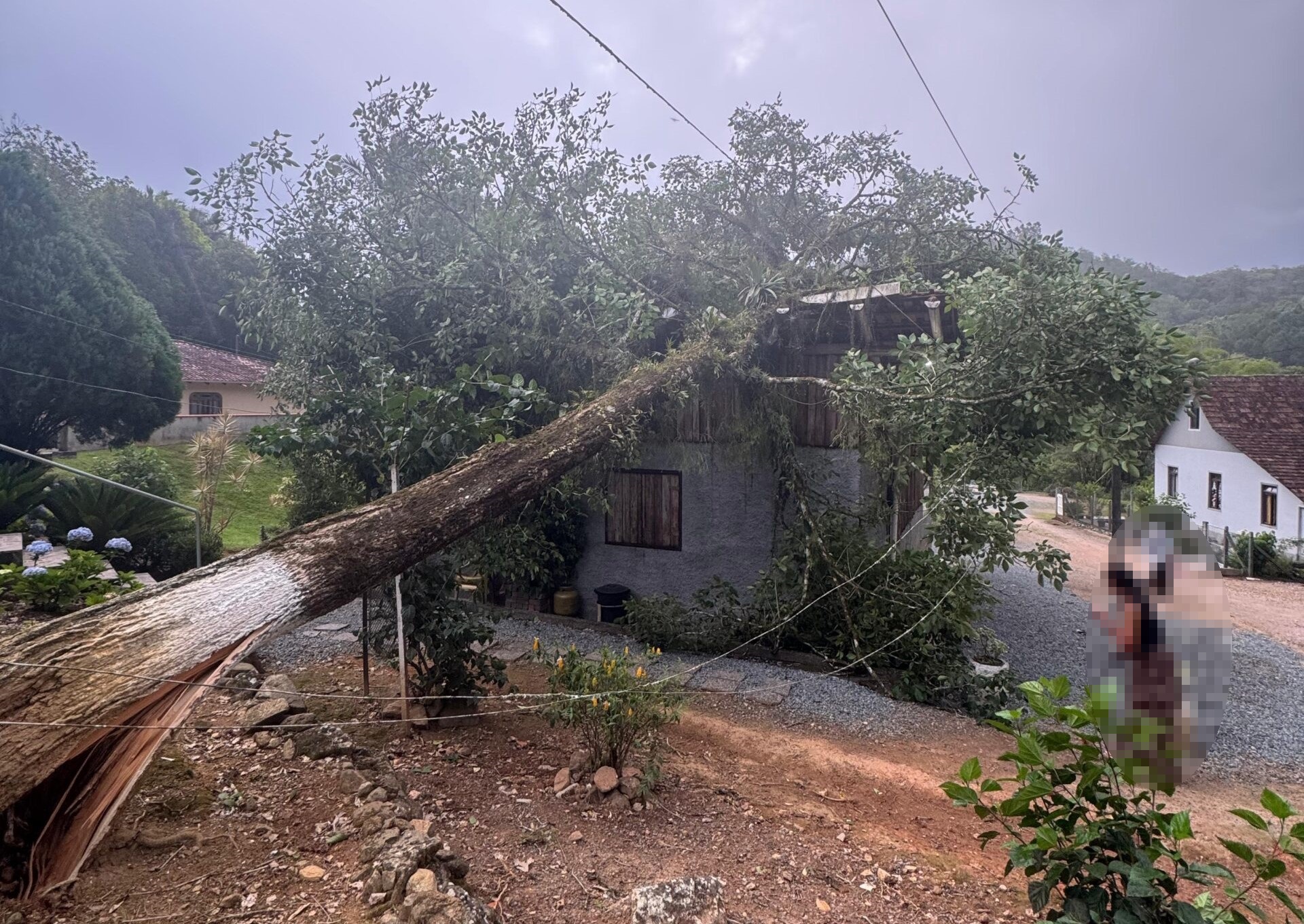 Defesa Civil atende 11 ocorrências após ventos de 80 km/h em Gaspar
