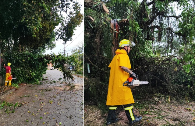 Corpo de Bombeiros realiza corte e retirada de árvores caídas pelo temporal no Bela Vista